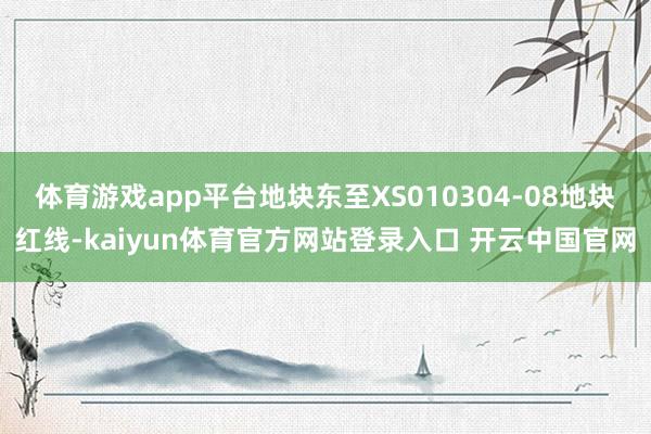 体育游戏app平台地块东至XS010304-08地块红线-kaiyun体育官方网站登录入口 开云中国官网