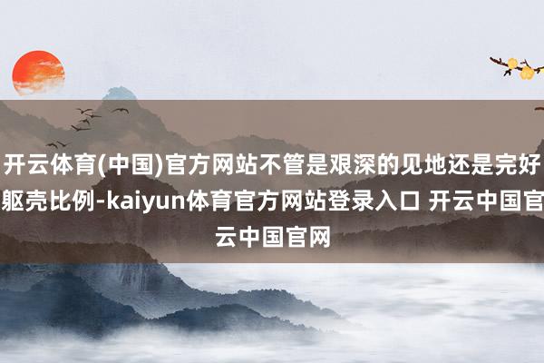 开云体育(中国)官方网站不管是艰深的见地还是完好的躯壳比例-kaiyun体育官方网站登录入口 开云中国官网