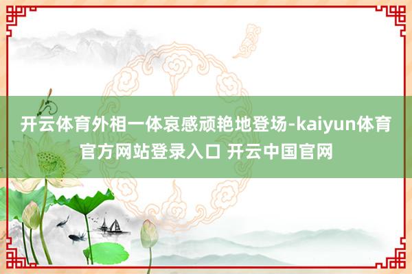 开云体育外相一体哀感顽艳地登场-kaiyun体育官方网站登录入口 开云中国官网